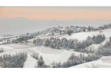 Sfoglia la galleria